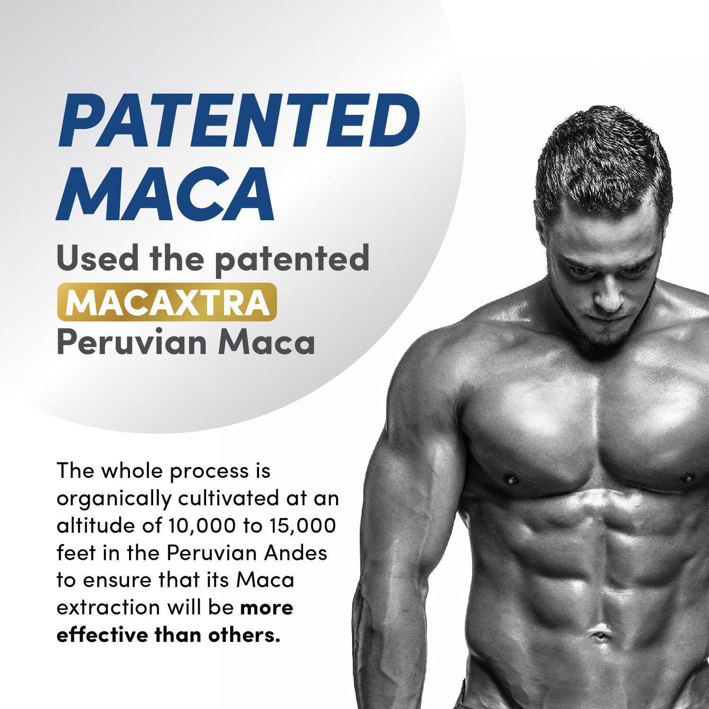 Healthopedia Maca (瑪卡)